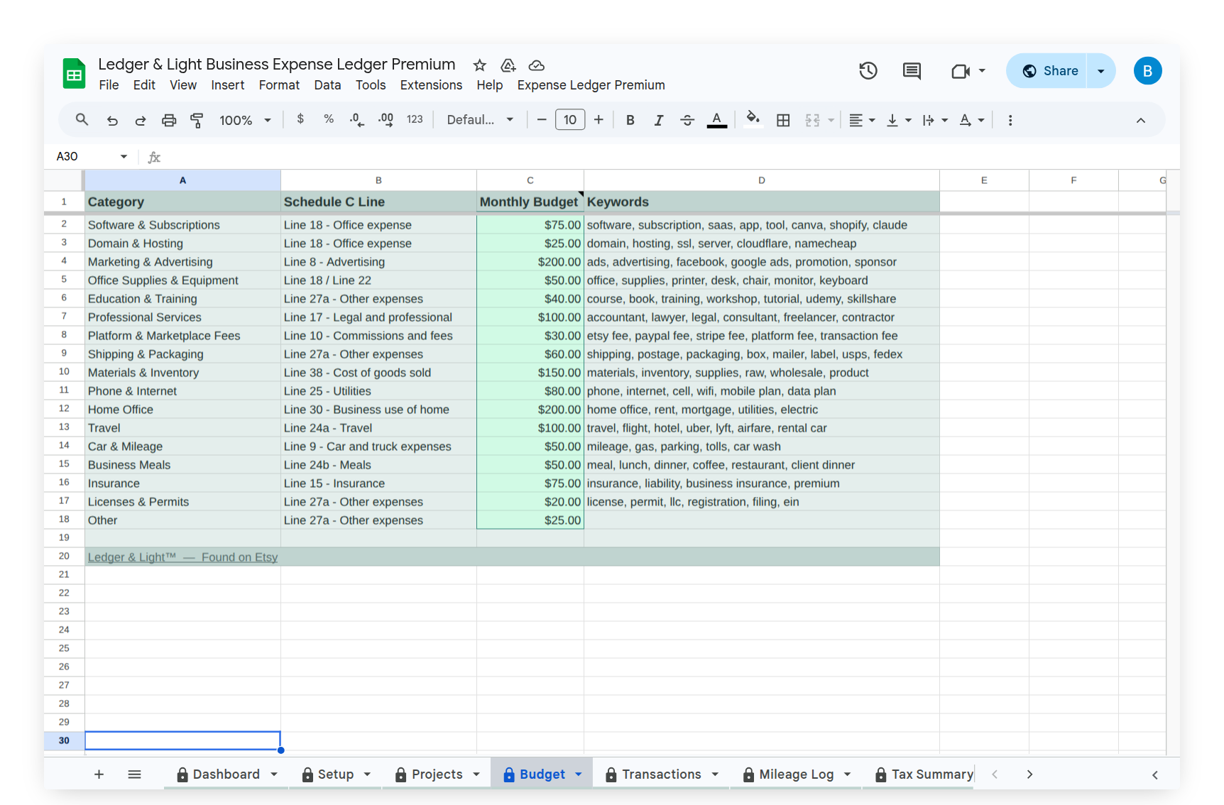 Budget tab showing Schedule C categories with actual vs. budget columns visible